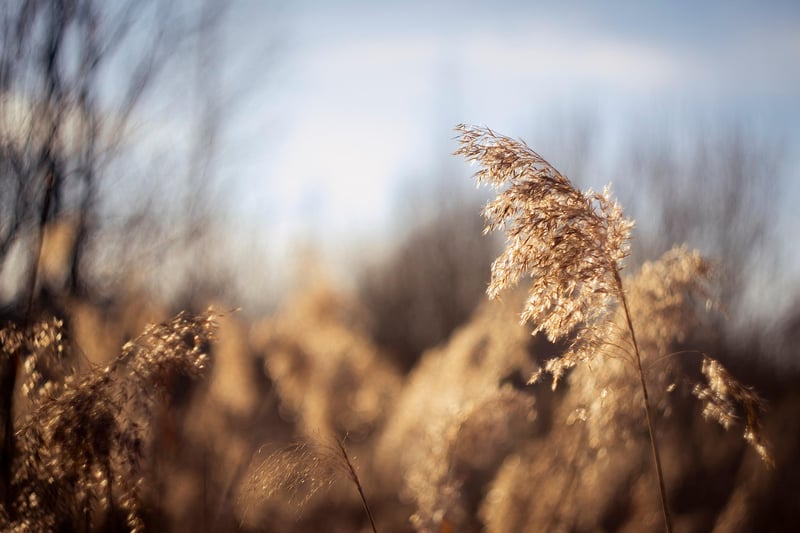 Personal growth